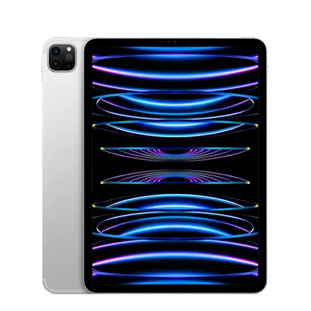 iPad Pro 11" Puce M2 (4ᵉ génération) , 2022