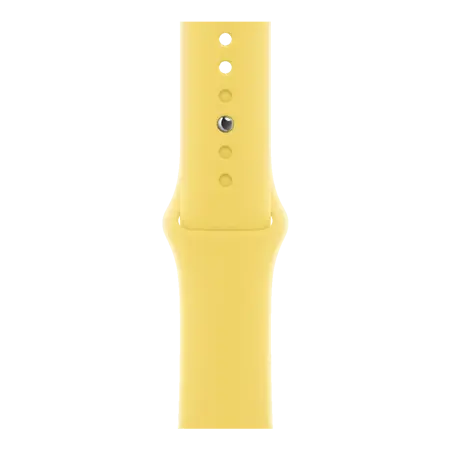 Accessoires pour Apple Watch