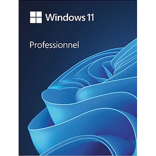 Licence Windows 11 Professionnel 64 bits Français (Code d’activation)