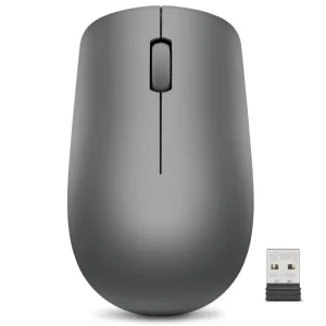 Lenovo Souris sans fil 530 - Graphite
