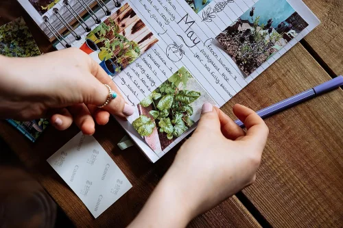 Papier photo pour Zoe Mini - Zink Paper ZP-2030 50 feuilles Image 2