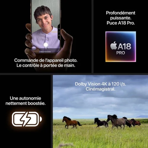 Apple iPhone 16 Pro (256Go) - Titane noir Image 2