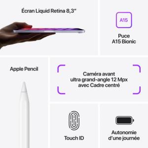 Apple iPad Mini 8.3\