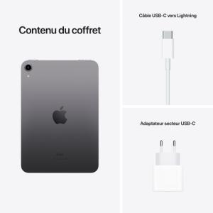 Apple iPad Mini 8.3\