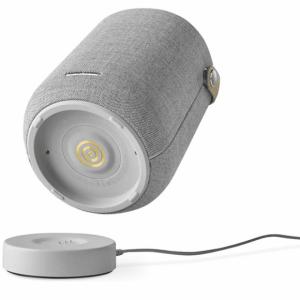 Enceinte portable Harman kardon Citation 200 - Gris Image 1