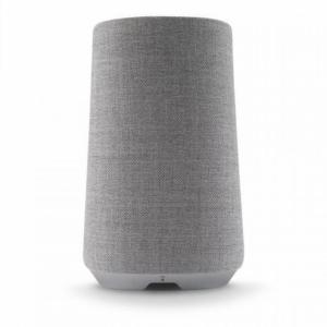 Harman kardon Enceinte portable Citation 100 - Gris Image 2