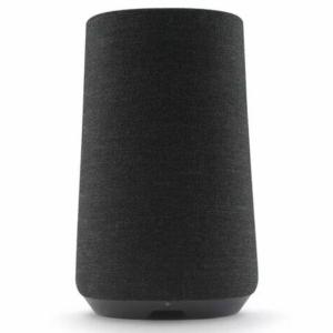 Harman kardon Enceinte portable Citation 100 - Noir Image 1