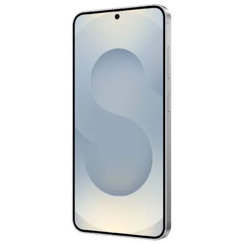 Samsung Galaxy S25 (12Go/256Go) - Silver Shadow Image 2