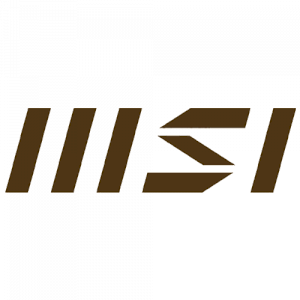 MSI
