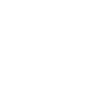 data safeguard icon