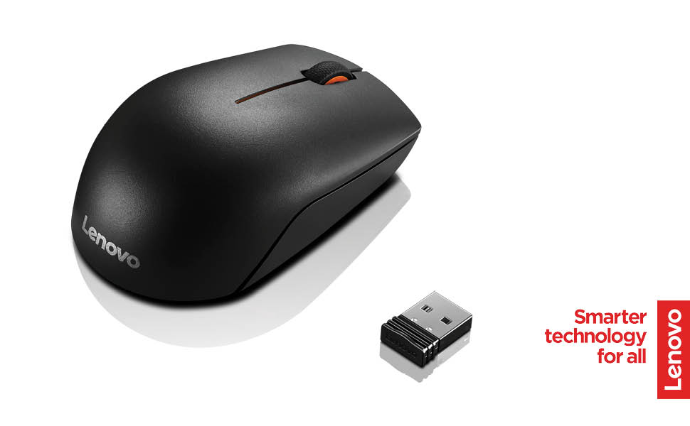 Souris 300 