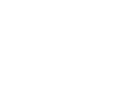 Icône Diagnostic système
