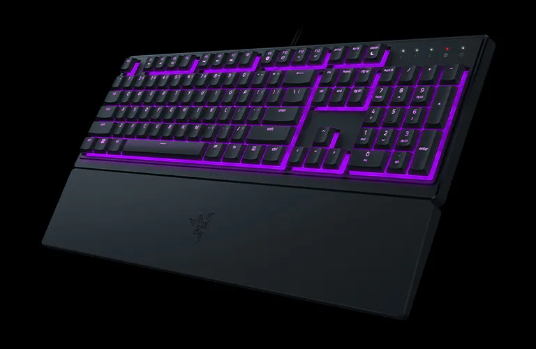 Powered By Razer Chroma™ RGB