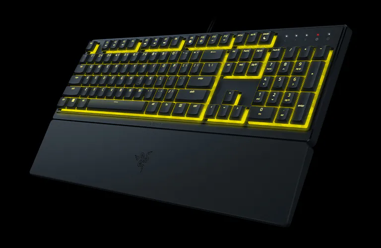 Powered By Razer Chroma™ RGB